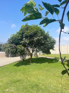 Casa Tres Ventanas de Azpitia - 6