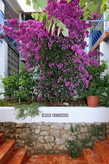 Apartments with a parking space Porozina, Cres - 23050 - Cres - 4