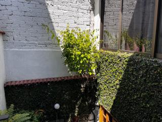 Casa Solange - Città del Messico - 8