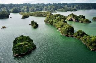 Beach Apartment on Samana Bay with Pool, AC, Fast Wi-Fi, Walk to Beach & River, Whale Watching, Near Salto El Limón - Santa Bárbara de Samaná - 1