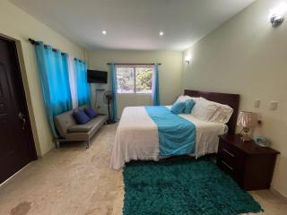 Beach Apartment on Samana Bay with Pool, AC, Fast Wi-Fi, Walk to Beach & River, Whale Watching, Near Salto El Limón - Santa Bárbara de Samaná - 7