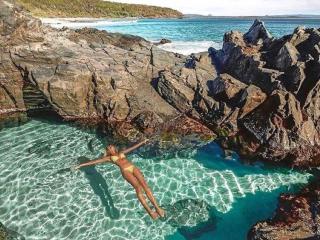 Tristania Little cove - Noosa Heads - 5