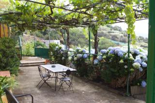 Finca Las Madrecitas - La Orotava - 2