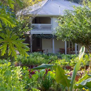 Mavis's Cabins @ Mt Warning - Uki - 2