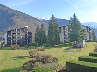 Studio cabine, balcon, internet et animaux admis - FR-1-629-136 - Samoëns - 3