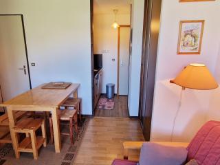 Charmant appartement 2 pièces aux pieds des pistes, exposition sud/ouest, Plagne Montalbert - FR-1-755-16 - Aime-la-Plagne - 9