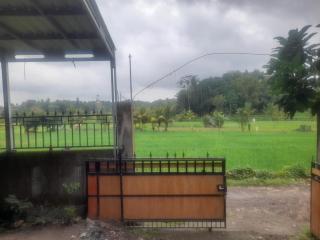 Area bebas - 5