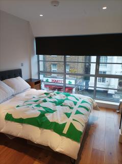 Central and Bright 1 Bedroom Flat - Peckham - Londra - 7