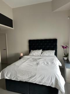 Sleek & Central 1BD Flat - Battersea Park - Londra - 3