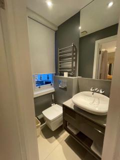 Modern and Luxurious 2 Bedroom Flat - Barons Court - Londra - 1