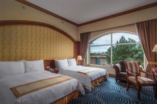 Grand Sultan Tea Resort & Golf - Sreemangal - 8
