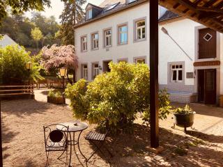 Hinkelshof - als Ferienwohnung - Selbstversorgerküche & Aufenthaltsräume - Südeifel, Mullerthal, Vianden - Körperich - 9