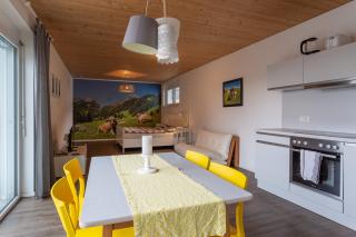 FLEXhome your central, calm and cosy place in Dornbirn - Dornbirn - 3