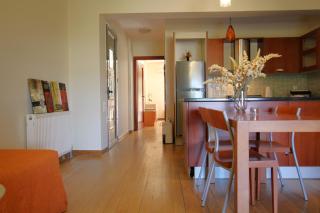 Loli's sea view apartment - Argostoli - 4
