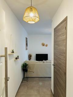 Appartement T2 Corte - 2