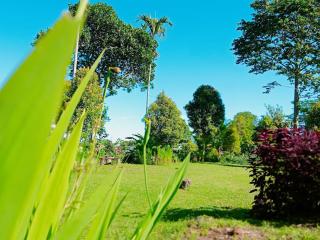 Sajang Valley Estate - Sajang - 0