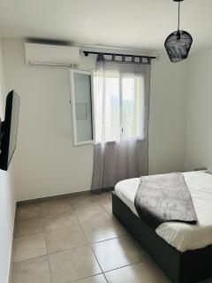 Appartement T2 Corte - Corte - 1