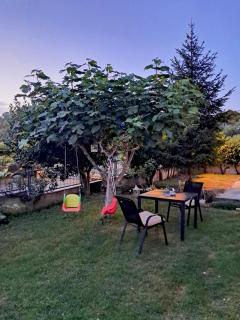 Studio Anka - Pakoštane - 4
