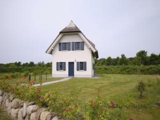 Reetland am Meer - Premium Reetdachvilla mit 3 Schlafzimmern, Sauna und Kamin F04 - 0