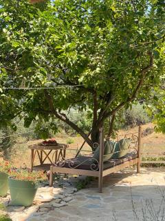 Dinateli House - Live like a local in Corfu - Kastellánoi - 6