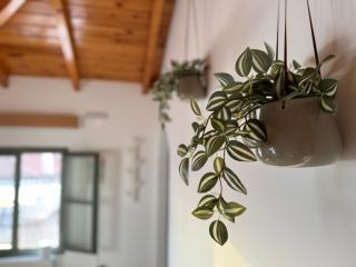 Xasteria apartment Ξαστεριά - 6