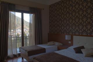 Hotel Il Cervo, SPA & Wellness, Bike Hotel - Tarvisio - 3