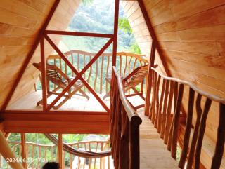 Ella Treehouse - Ella - 4