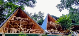 Ella Treehouse - Ella - 8