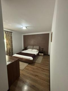 Pensiunea Rustic - Borşa - 8