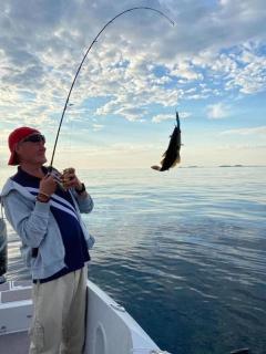 Seaside apartment with balcony A1 - 8