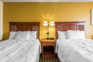 Econo Lodge Byron near Historic District - Warner Robins - 4