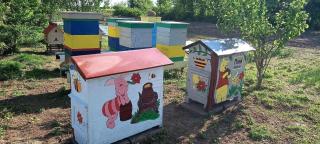 Agroturystyka Błądkowo 20A, Agrotourismus - Dobra - 5