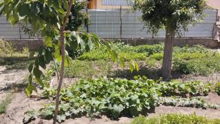 Milikbek Dodikhudo - 3