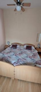Apartman Jelena - Vir - 7