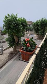 Antony's Hause - - 2