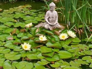 Gîte tout confort avec grand jardin, cheminée, clim et WIFI, proche châteaux de la Loire et ZooParc de Beauval - FR-1-491-400 - 6