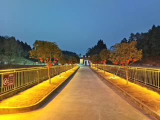 头等舱湖景酒店天府机场店 - Jianyang - 1