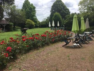 auberge andaine - La Ferté-Macé - 4