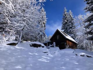 Schell-Hütte - Preitenegg - 9