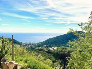 Maison d Americain a Figarella au Cap Corse - 9