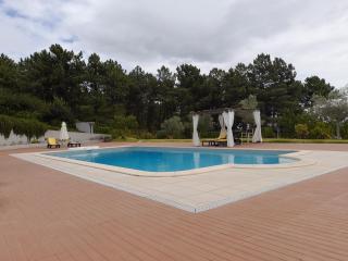 Quinta Manhas Douro - Provesende - 6