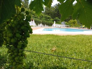 Quinta Manhas Douro - Provesende - 9