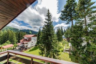 Casa Cioplea by Genco - Predeal - 1