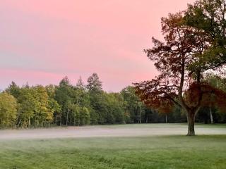 Les Hayes en Sologne - Fontaines-en-Sologne - 6