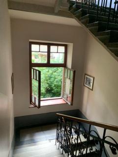 Apartament Gold Jasmine - Krakow - 4