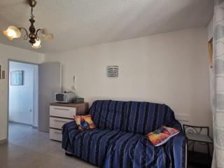 Mazet T3 avec jardin, terrasse et piscine, climatisé, 4 couchages, parking privé, Le Lavandou - FR-1-803-45 - Le Lavandou - 3