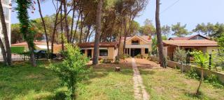 bezhani Standard Villa - Golem - 0