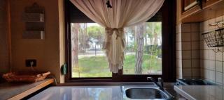bezhani Standard Villa - Golem - 6