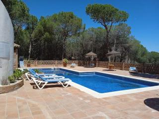 Vacaciones en Nueva Andalucia-Marbella - Marbella - 2