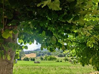 La Casa del Duca - Montalto delle Marche - 4